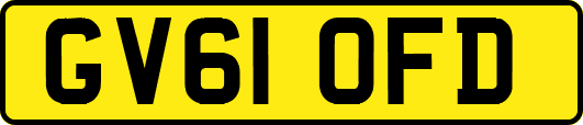 GV61OFD