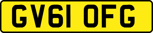 GV61OFG