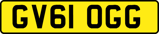 GV61OGG