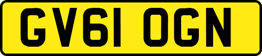 GV61OGN