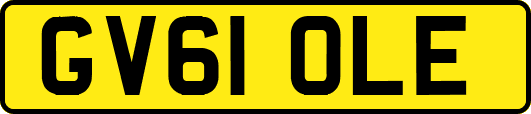 GV61OLE