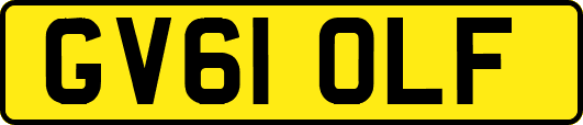 GV61OLF