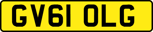 GV61OLG
