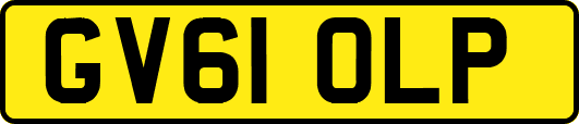 GV61OLP