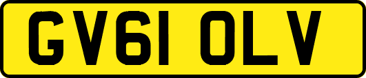 GV61OLV