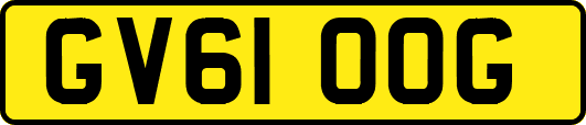 GV61OOG