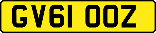 GV61OOZ