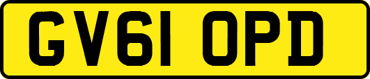 GV61OPD