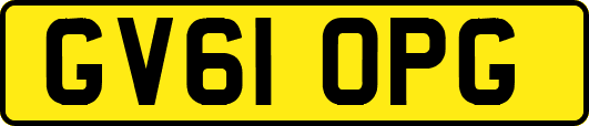 GV61OPG
