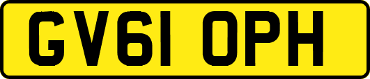 GV61OPH