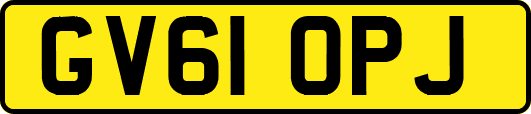 GV61OPJ