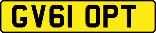 GV61OPT