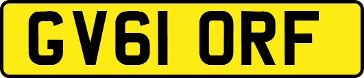 GV61ORF
