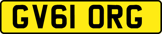 GV61ORG