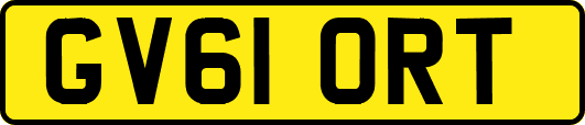 GV61ORT