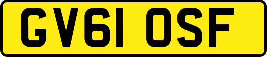 GV61OSF