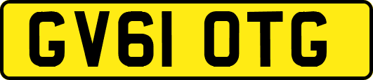 GV61OTG