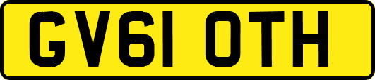 GV61OTH