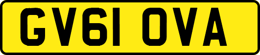 GV61OVA