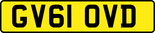 GV61OVD