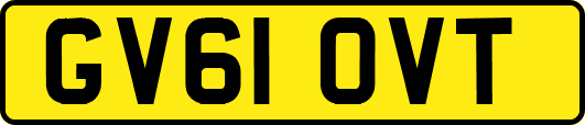 GV61OVT