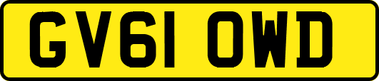 GV61OWD