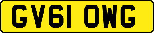 GV61OWG