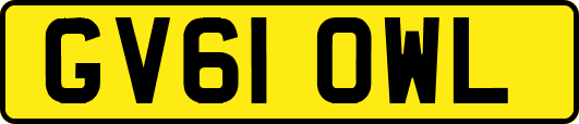 GV61OWL