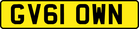GV61OWN