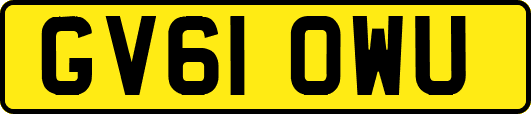 GV61OWU