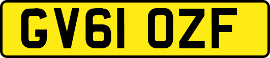GV61OZF