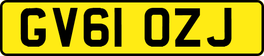 GV61OZJ