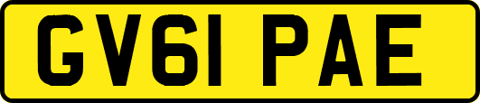 GV61PAE