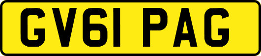 GV61PAG
