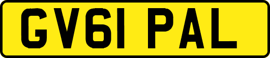 GV61PAL