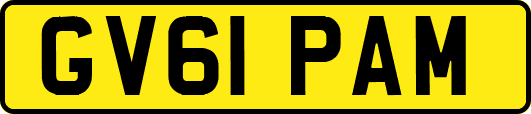 GV61PAM