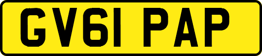 GV61PAP