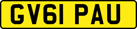 GV61PAU