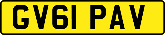 GV61PAV