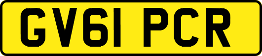 GV61PCR