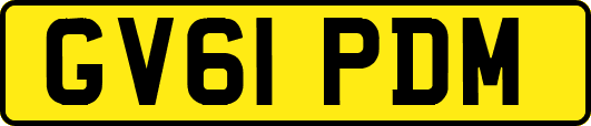 GV61PDM
