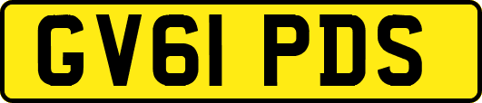 GV61PDS