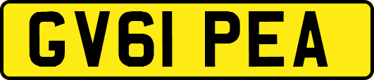 GV61PEA