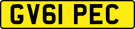 GV61PEC