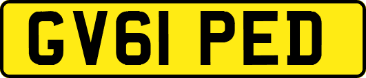 GV61PED
