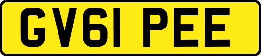 GV61PEE