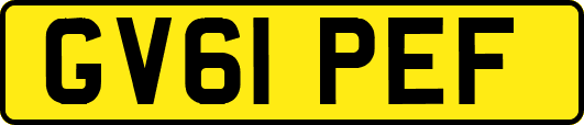 GV61PEF