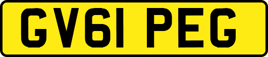 GV61PEG