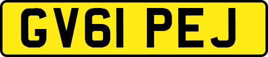 GV61PEJ
