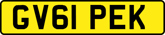 GV61PEK